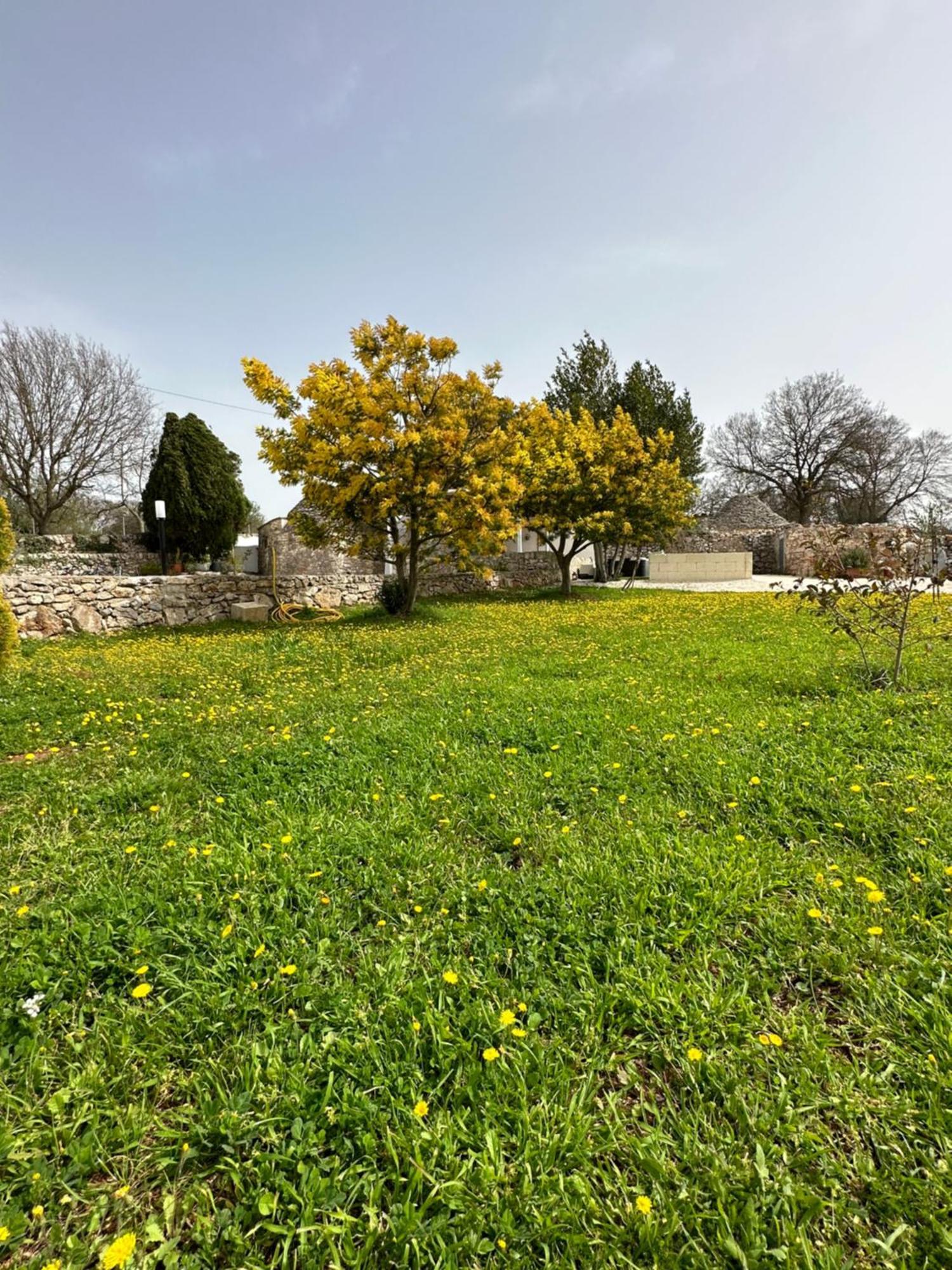 Trulli In Contrada Noci Exterior foto